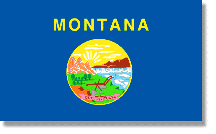 MONTANA STATE FLAG