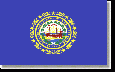 NEW HAMPSHIRE STATE FLAG